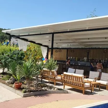 пясъчна лилия в Lily Beach Daire *