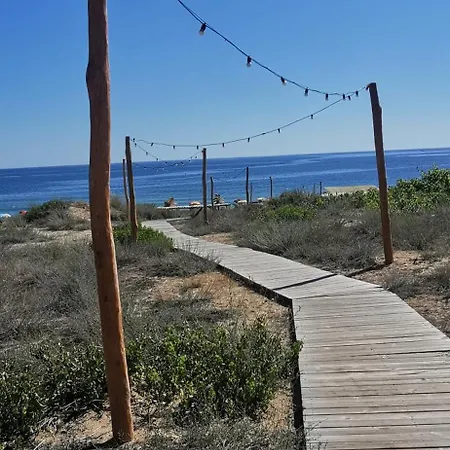 пясъчна лилия в Lily Beach Daire *